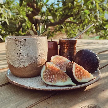 Quonset Glamping Szálloda