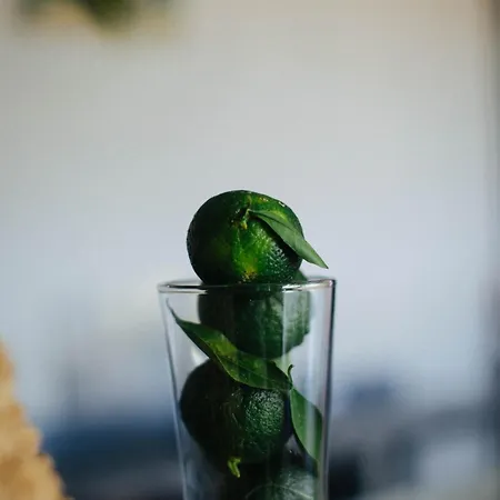 Quonset Glamping Szálloda *