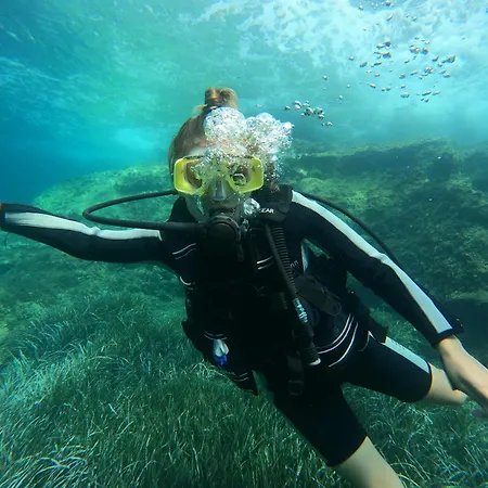 Szálloda Quonset Glamping Seferihisar
