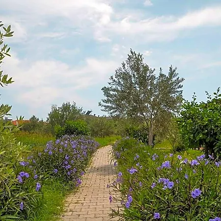 Hotel Quonset Glamping Seferihisar
