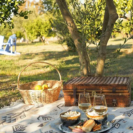 Quonset Glamping 3*